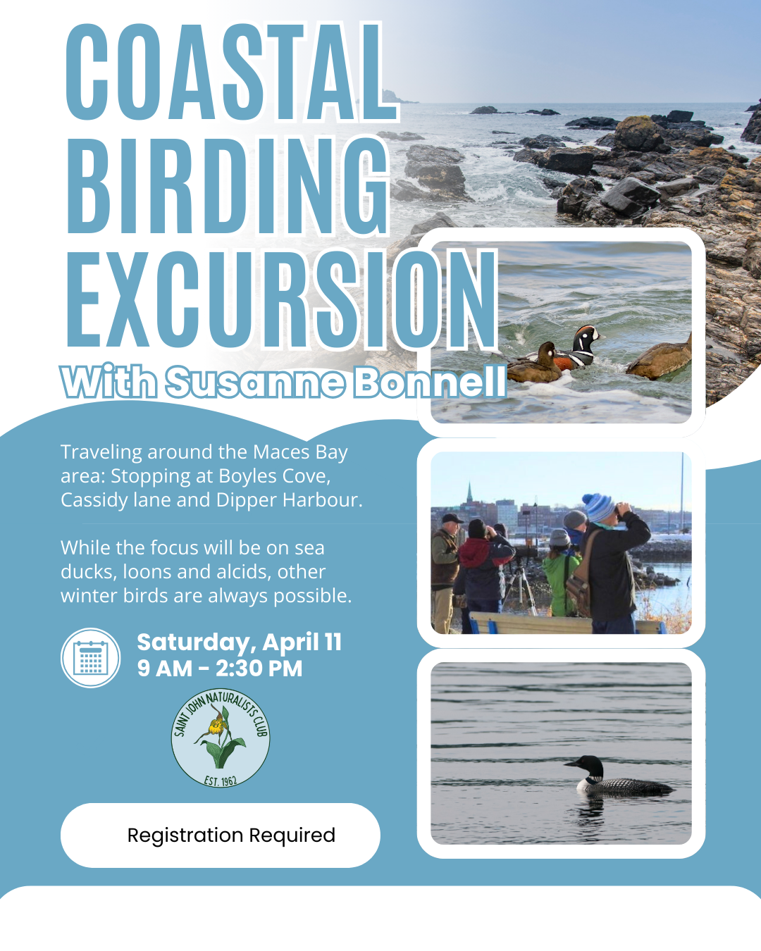 Coastal Birding Excursion with Susanne Bonnell